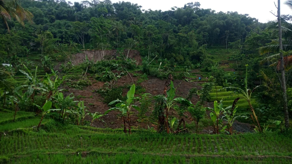 Kondisi longsor di Kampung Muncanglega RT 02 RW 01 Desa Sukasari, Kecamatan Gununghalu, Kabupaten Bandung Barat. Kamis (25/4). Foto istimewa
