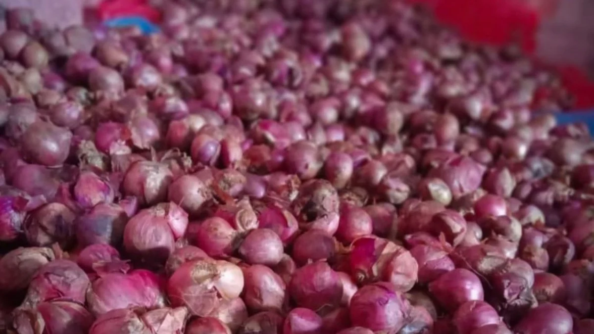 Harga bawang merah di Pasar Tradisional Tagog Padalarang, Bandung Barat perlahan turun. Senin (29/4). Foto Jabarekspres