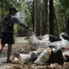 Ilustrasi: Seorang warga Cimahi sedang membuang sampah sembarangan.