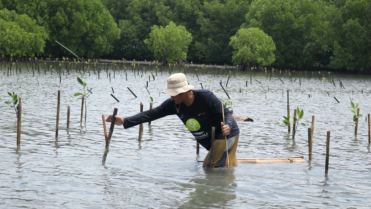 Peringati Hari Bumi Sedunia: Bio Farma Tanam 4000 Mangrove Peringati Hari Bumi Sedunia: Bio Farma Tanam 4000 Mangrove