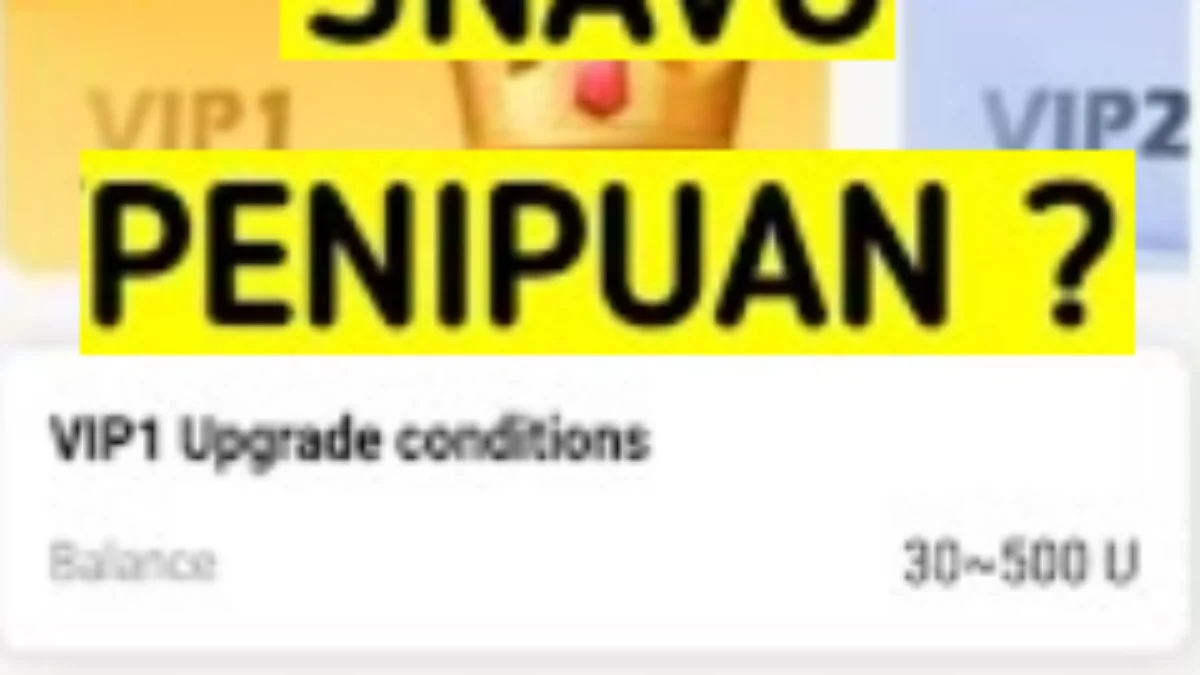 Aplikasi Snavo Apakah Aman atau Scam dengan Skema VIP dan Rabat Gacor,