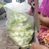 Jumlah produksi janur ketupat di Blok Kupat, Caringin, Kota Bandung menurun pada tahun 2024. Ditenggarai bahan baku yang tidak sebanyak tahun lalu jadi penyebabnya. (Nizar/Jabar Ekspres)