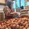 Pedagang Resah, Harga Telur di Cimahi Belum Stabil Doc. Pedagang Telur di Pasar Atas Cimahi ungkap Keresahan akan Sepinya Konsumen (Mong)