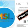 Aplikasi MSL yang membantah surat Bupati Kepulauan Selayar.