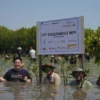 Kegiatan anam 10.000 Pohon Mangrove yang diselenggarakan EIGER bersama WAnadri dan puluhan siswa.