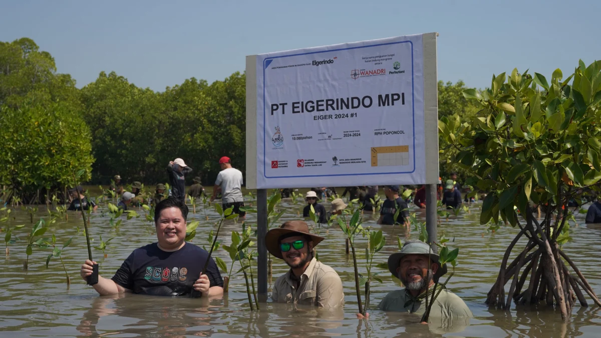 Selamatkan Pesisir Pantura dari Abrasi dan Banjir Rob, EIGER Berkolaborasi dengan Wanadri dan Puluhan Siswa Tanam 10.000 Pohon Mangrove Kegiatan anam 10.000 Pohon Mangrove yang diselenggarakan EIGER bersama WAnadri dan puluhan siswa.