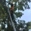 PLN Icon Plus bersama Pemkot Bandung kembali Berkolaborasi Melakukan Penertiban Kabel Fiber Optik