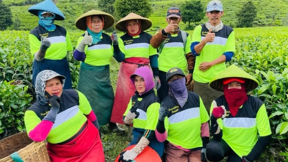 Potret pekerja di PTPN/