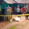 6 Fakta Suami Mutilasi Istri di Ciamis: Daging di Tenteng dan Ditawarkan ke Warga