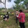Rekonstruksi pencabulan di Sukabumi oleh ABH berusia 14 tahun terhadap bocah 6 tahun di kebun pala.