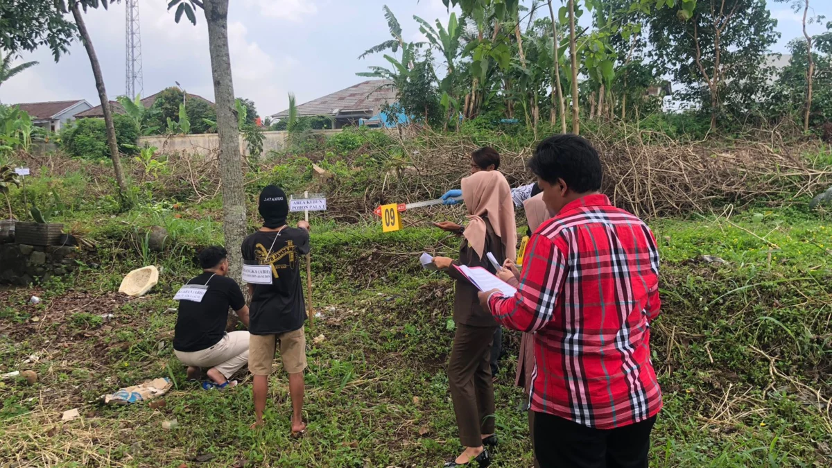 Rekonstruksi pencabulan di Sukabumi oleh ABH berusia 14 tahun terhadap bocah 6 tahun di kebun pala.
