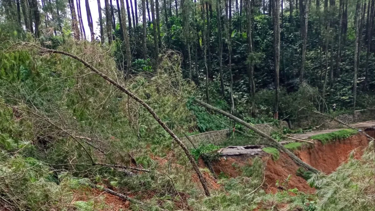 Akibat Longsor, Jalan Utama Gununghalu Bandung Barat-Cianjur Terputus Longsor memutus jalan utama penghubung Kecamatan Gununghalu, KBB-Cianjur. Selasa (14/5). Dok BPBD KBB