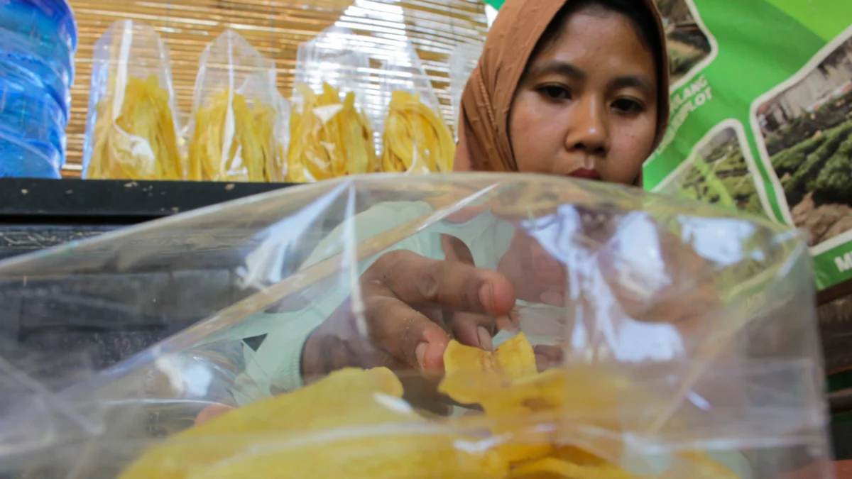 Pelaku UMKM di Jabar sedang mengemas produk pisang olahannya.(Pandu Muslim)