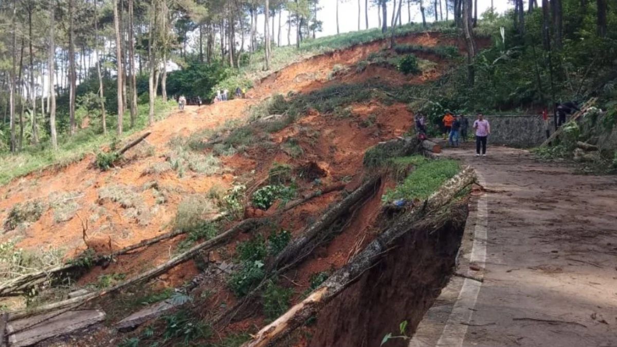 Sebanyak 50 hektar lahan pertanian sawah di Desa Sindangjaya, Kecamatan Gununghalu, KBB terancam gagal panen akibat tertimbun longsor. Dok BPBD KBB