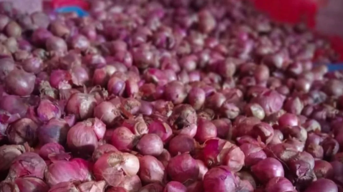 Harga bawang merah di Pasar Tradisional Tagog Padalarang, Bandung Barat kembali mahal. Selasa (28/5). Dok Jabar Ekspres