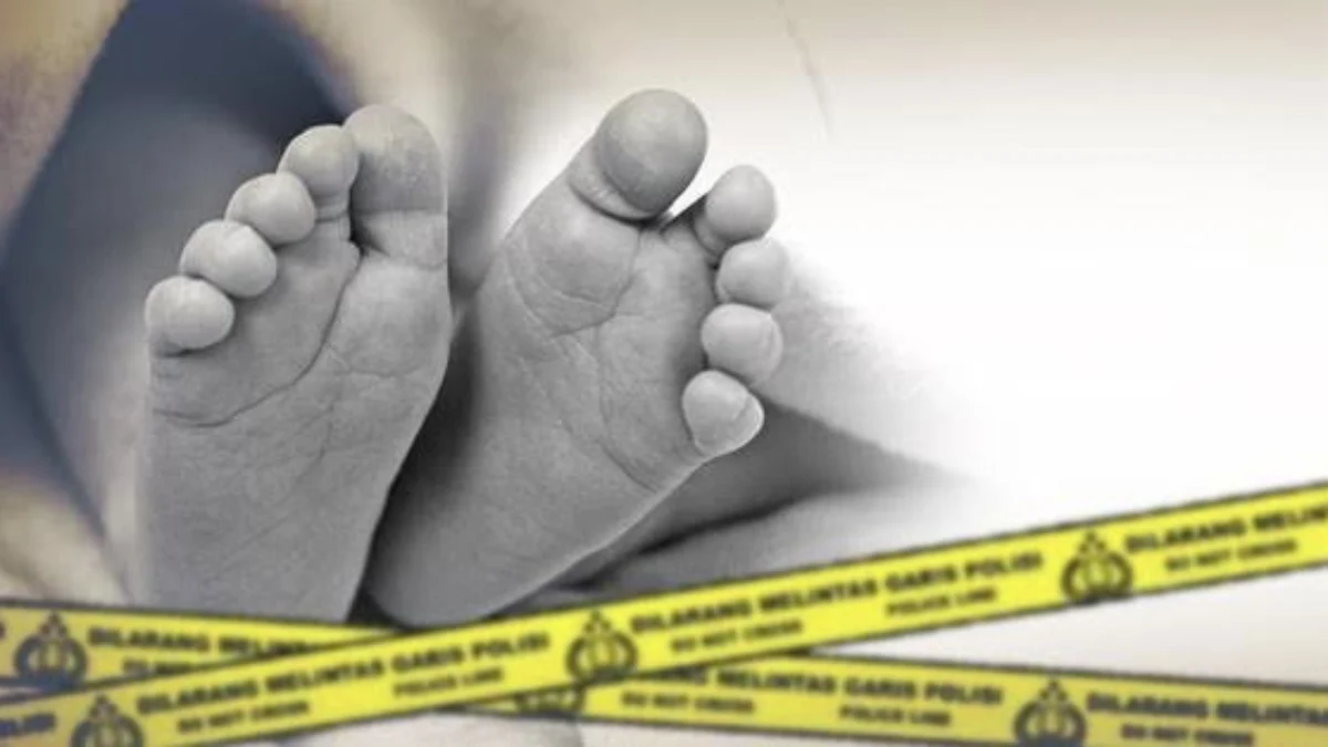 Ilustrasi jasad bayi/Foto: Dok Disway/
