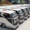 Potret sejumlah Bus yang sedang terparkir/Dok Disway/