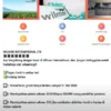 Aplikasi Wilmar Penghasil Uang Apakah Terbukti Akan Membayar atau Scam?