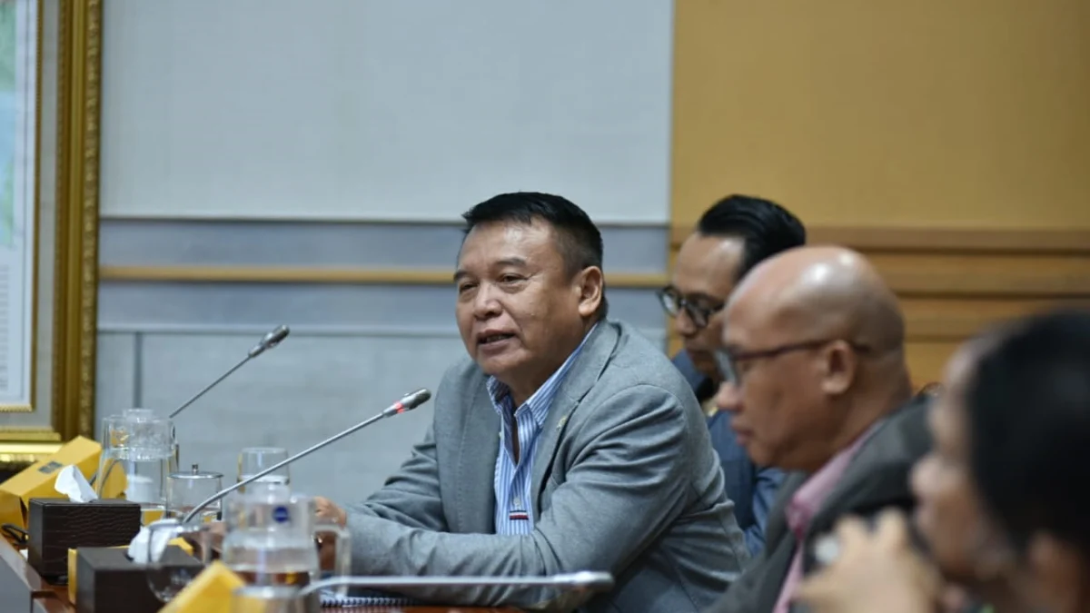 Anggota Komisi I DPR RI Mayjen TNI (p) TB Hasanuddin menyoroti dampak pengoperasian Starlink di Indonesia.