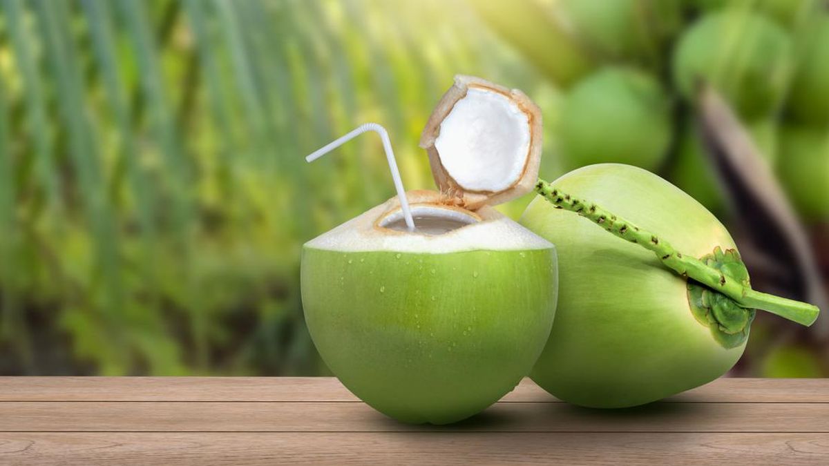 Hati-Hati! Inilah Kelompok Orang yang Tidak Boleh Minum Air Kelapa Hati-Hati! Inilah Kelompok Orang yang Tidak Boleh Minum Air Kelapa