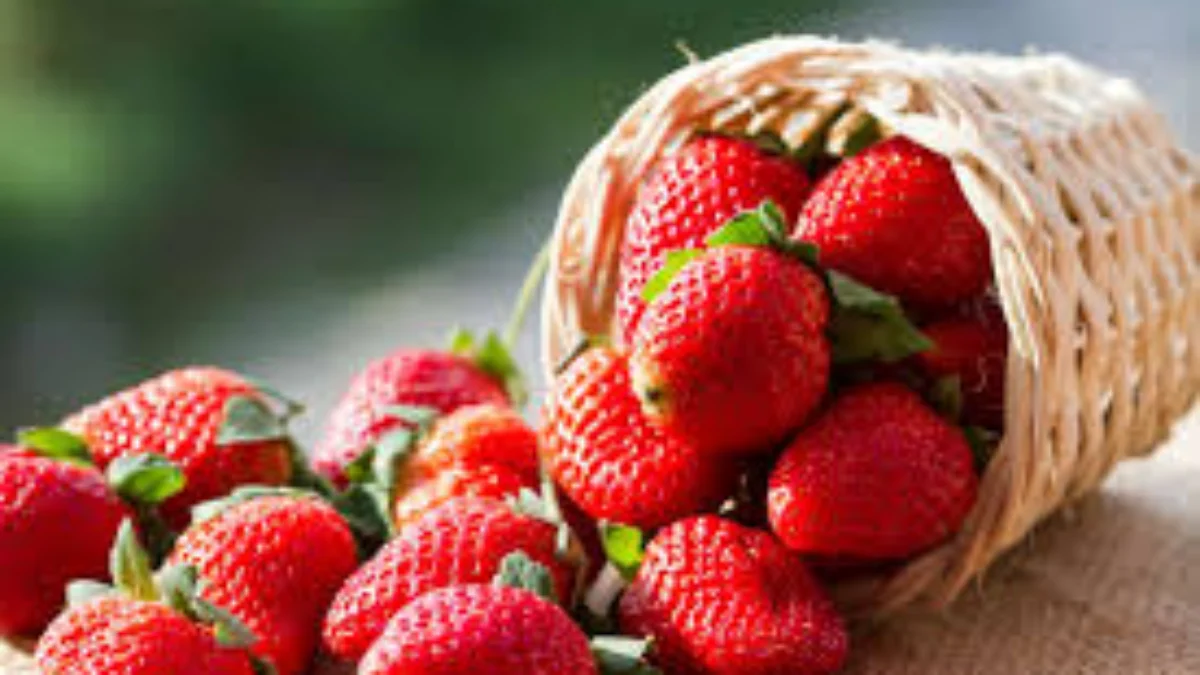 Manfaat Buah Strawberry untuk Kesehatan dan Kecantikan