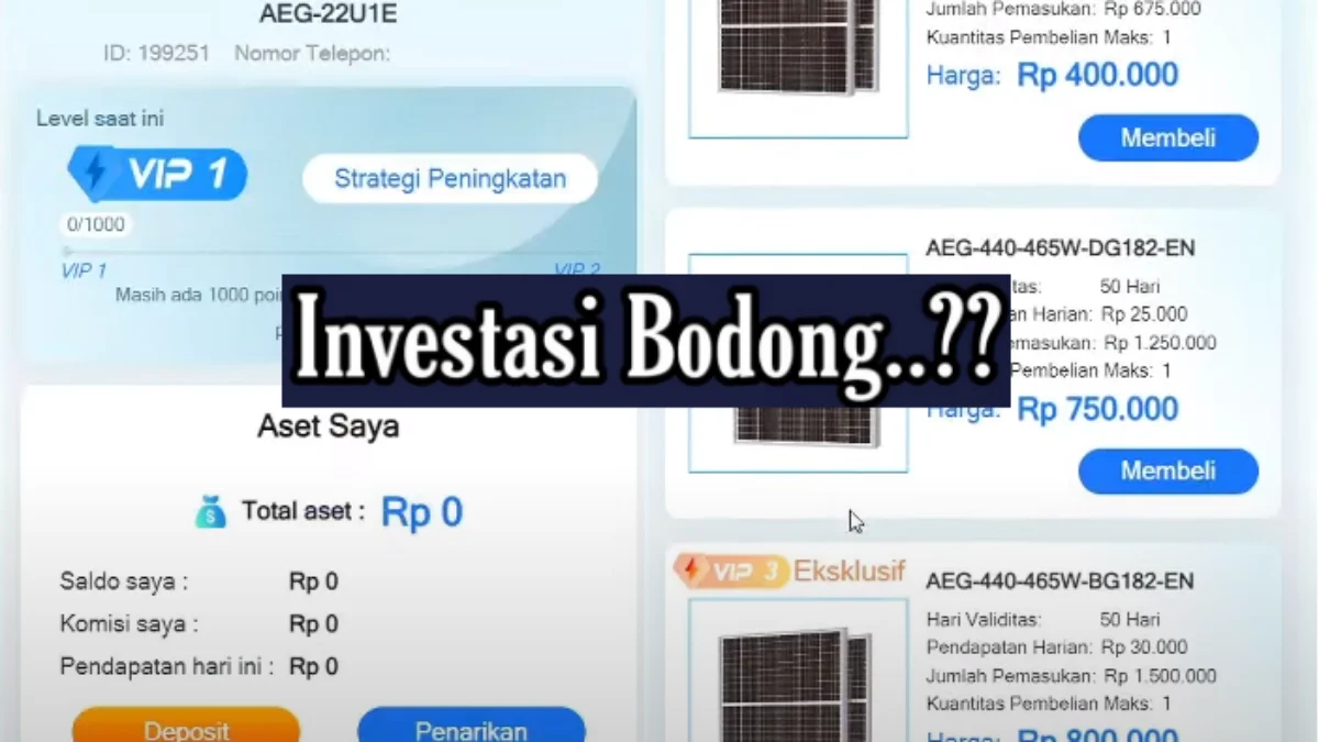Baru Rilis, Apakah Investasi di Aplikasi AEG Aman untuk Jangka Panjang?