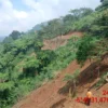 Potret daerah longsor di Cijeruk Sukabumi/Dok BPBD/