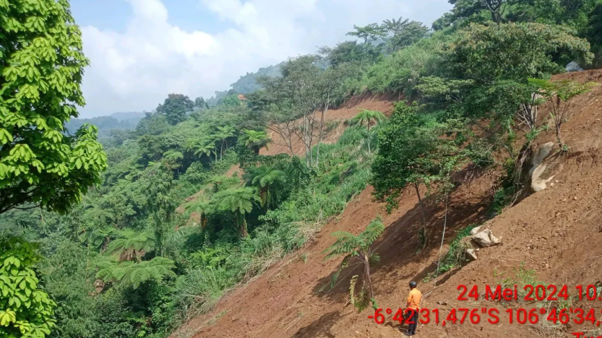 Potret daerah longsor di Cijeruk Sukabumi/Dok BPBD/