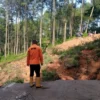 Petugas lapangan BPBD Bandung Barat, saat meninjau lokasi putusnya jalan akibat longsor di wilayah Kecamatan Gununghalu. Rabu (15/5/2024).