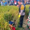 Petugas kepolisian saat akan mengevakuasi mayat wanita paruh baya ditemukan meninggal di pematang sawah di Nagreg, Kabupaten Bandung, Minggu (19/5). Foto Istimewa
