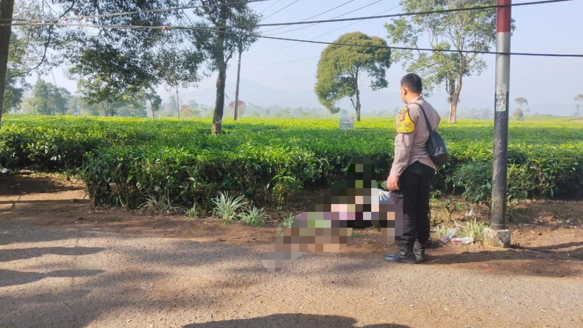 Dua orang anak punk di temukan tewas di pinggir perkebunan teh Malabar di Kampung Babakan Kananga, Desa Banjarsari, Kecamatan Pangalengan, Kabupaten Bandung. Foto Istimewa