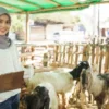ILUSTRASI lokasi pembelian hewan kurban. (freepik)