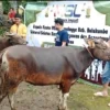 Aplikasi MSL APP yang tetap lembur saat Lebaran Idul Adha.