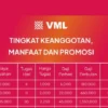 Aplkasi VML yang tugasnya hanya mendownload aplikasi.