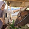 ILUSTRASI hukum melakukan potong kuku dan rambut sebelum berkurban. (freepik)