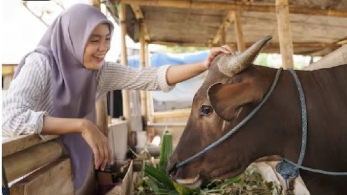 ILUSTRASI hukum melakukan potong kuku dan rambut sebelum berkurban. (freepik)