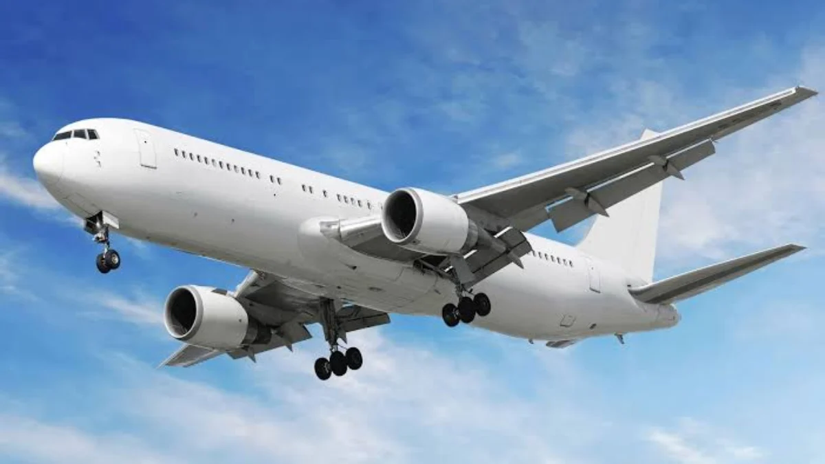 Burung Tersangkut, Pesawat Virgin Australia Mendarat Darurat di Selandia Baru Burung Tersangkut, Pesawat Virgin Australia Mendarat Darurat di Selandia Baru