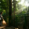 LESTARI : Pegawai DPKP Kota Bandung membersihkan forest walk di Hutan Kota Babakan Siliwangi, Kota Bandung, Sabtu (15/6). Kelestarian hutan kota itu terus dijaga oleh Pemkot Bandung. Kawasan itu menjadi spot olah raga di pusat kota dengan udara yang segar. (Hendrik Muchlison)