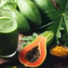 Benarkah Jus Daun Pepaya Bisa Sembuhkan DBD? Ini Penjelasannya