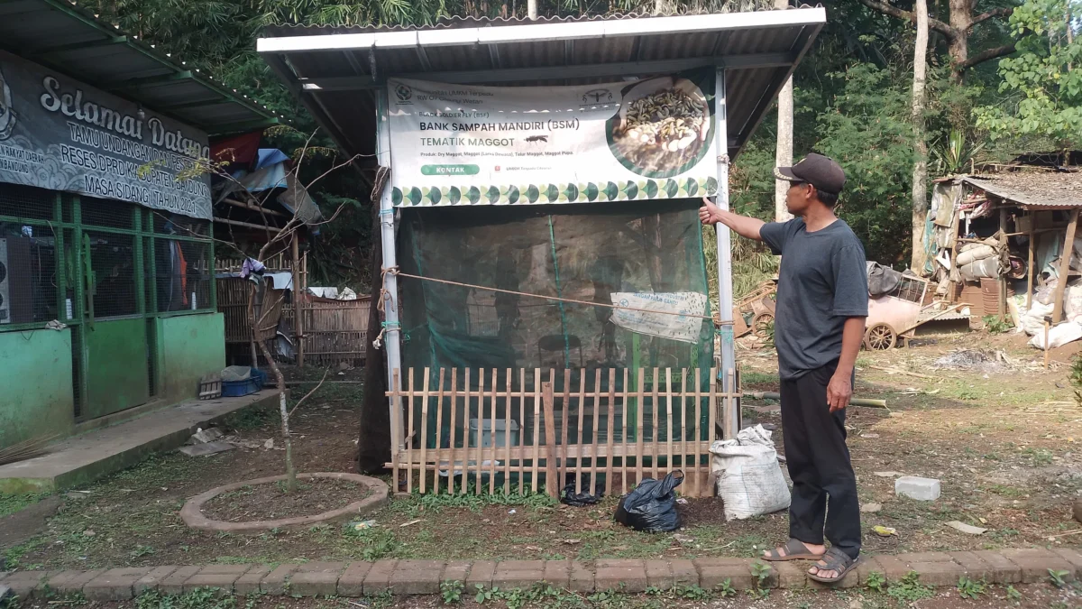 Ketua RW07 Desa Cileunyiwetan, Ade Juhana tengah menunjukkan tempat pengembang biakkan magot di area pengolahan sampah mandiri. (Yanuar/Jabar Ekspres)