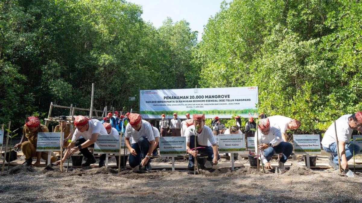 Peringati Hari Lingkungan Hidup Sedunia, Yayasan AHM Tanam Puluhan Ribu Mangrove