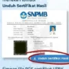 Panduan Lengkap Mengunduh Sertifikat UTBK SNBT 2024