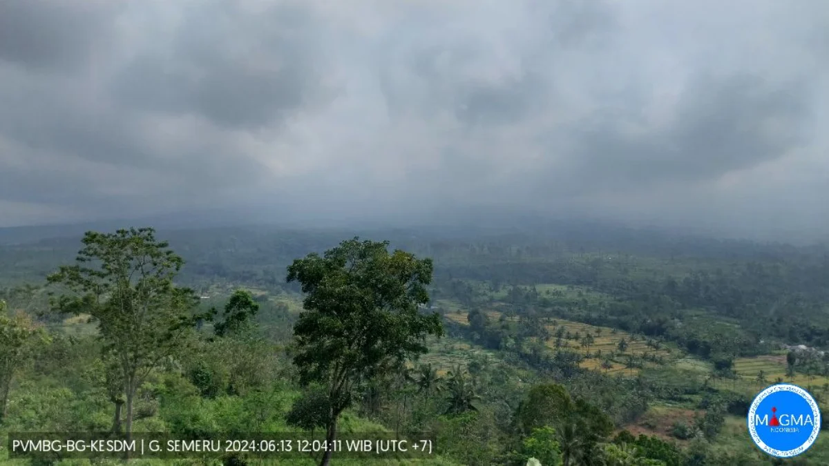 Gunung Semeru yang terletak di perbatasan Kabupaten Lumajang-Malang, Jawa Timur kembali mengalami erupsi, menyemburkan abu vulkanik hingga 900 meter diatas puncak, Kamis (13/6/2024) pagi. (PVMBG)