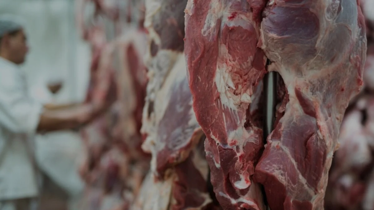 Cara Membedakan Daging Sapi dan Daging Kambing di Hari Raya Idul Adha