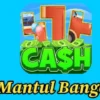 Apakah Aplikasi Cash Puzzle Benar-Benar Membayar?