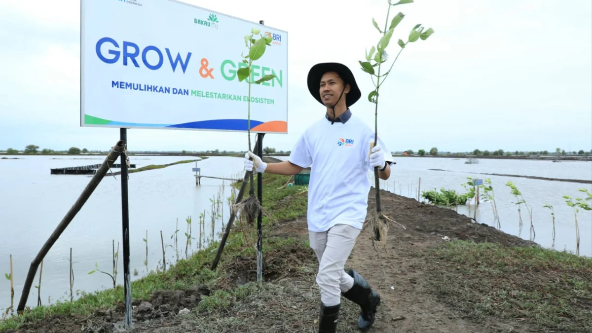 Fokus jalankan praktik bisnis berkelanjutan, BRI berhasil masuk dalam daftar CNBC Indonesia Green Business Ratings 2024