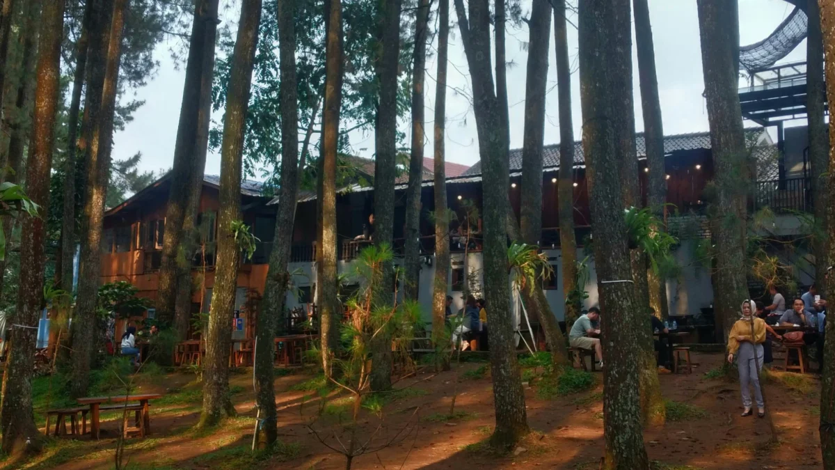Pengunjung saat beraktifitas di Tahura Ir Djuanda (son)