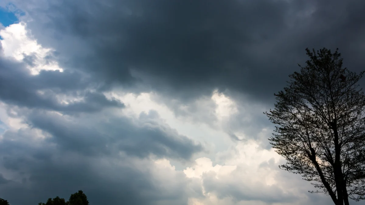 Prakiraan Cuaca Bandung, Jawa Barat Hari Ini, Selasa, 19 November 2024 Prakiraan Cuaca Bandung, Jawa Barat Hari Ini, Selasa, 19 November 2024