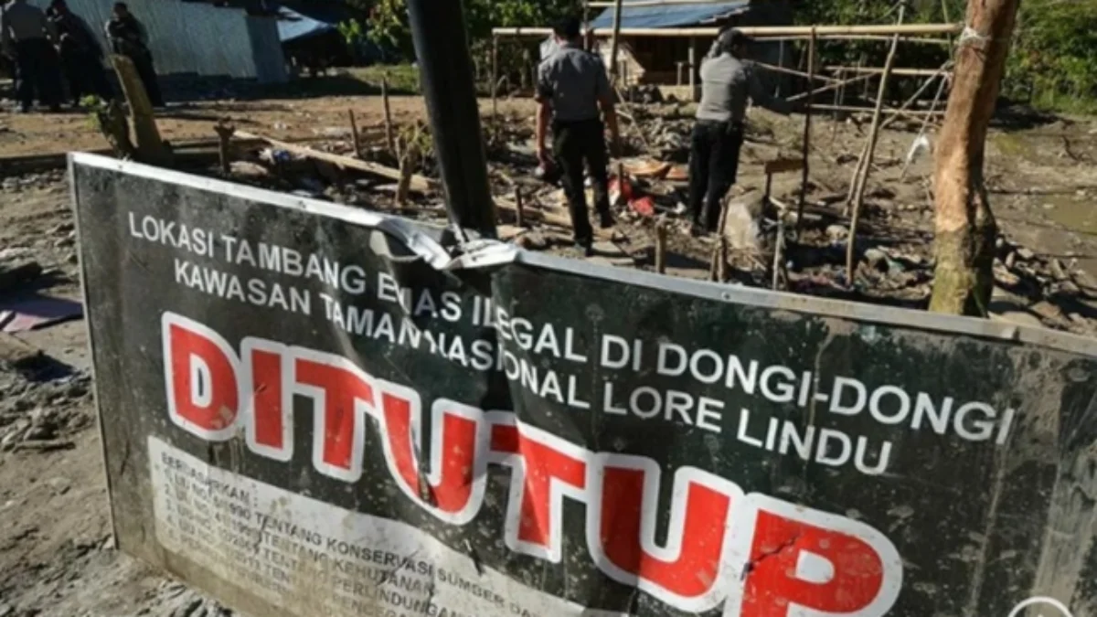Sejumlah aparat gabungan membongkar sisa-sisa penertiban tambang emas di Dusun Dongi-Dongi, Desa Sedoa, Lotere Utara, Kabupaten Poso, Sulawesi Tengah, Kamis (1/9/2023). Foto/ANTARA