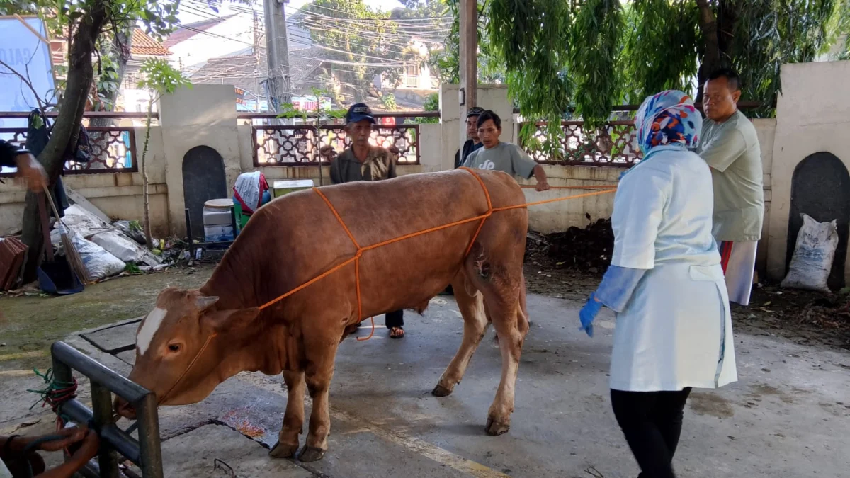 Doc. Pendampingan Dokter Hewan Dinas Ketahanan Pangan dan Pertanian (Dispangtan) di Masjid Alun-Alun Cimahi (Mong)